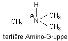 tertire Amino-Gruppe