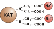 Kationenaustausch von Cadmium