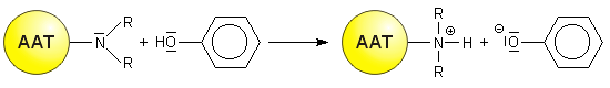 Austausch von Phenol