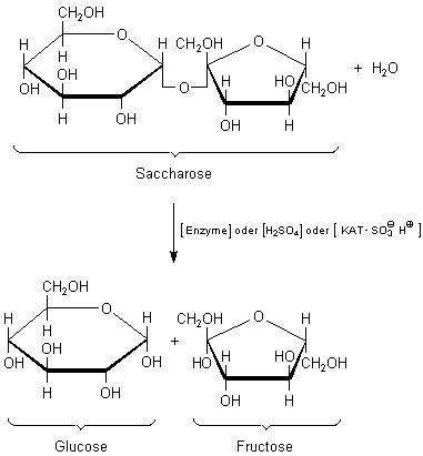 Hydrolyse von Saccharose