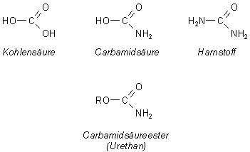 Prof. Blumes Medienangebot: Ammoniak, Amine und Säure-Amide