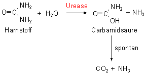 https://www.chemieunterricht.de/dc2/tip/images/carbamin.gif
